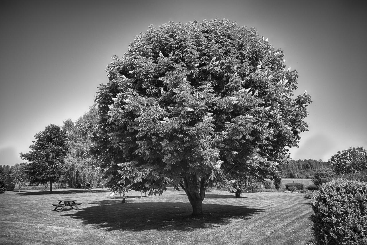 Au Jardin Fleuri Villa Vauxaillon Exterior photo
